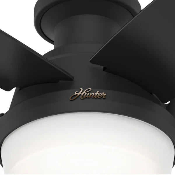 Hunter Avia 48 in. (121.9 cm) Low-profile LED Ceiling Fan