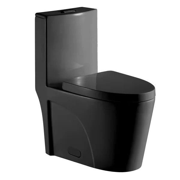 Agua Canada Tyrone 1-piece Dual Flush Toilet