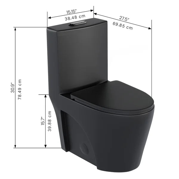 Agua Canada Tyrone 1-piece Dual Flush Toilet