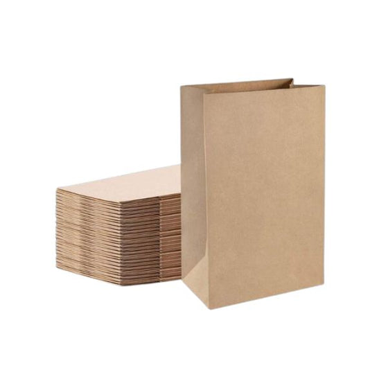 10lb – 100gsm Kraft Paper Bag 500/pcs Brown