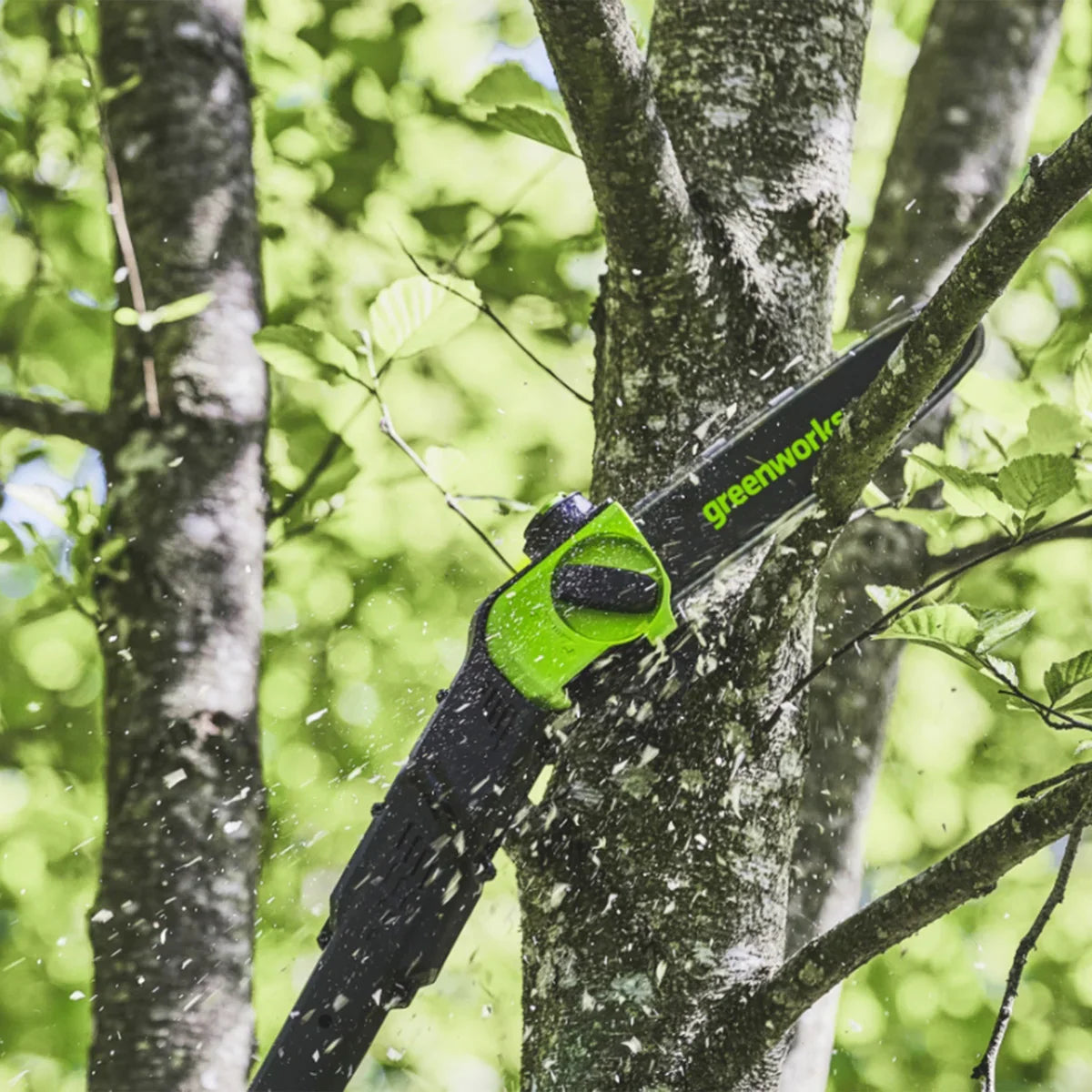 Greenworks Pro 80V 10" Pole Saw & 20’’ Pole Hedge Combo, 2.0 Ah Battery & Rapid Charger, Shoulder Strap Included