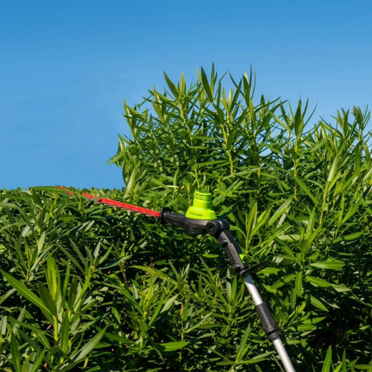 Greenworks Pro 80V 10" Pole Saw & 20’’ Pole Hedge Combo, 2.0 Ah Battery & Rapid Charger, Shoulder Strap Included