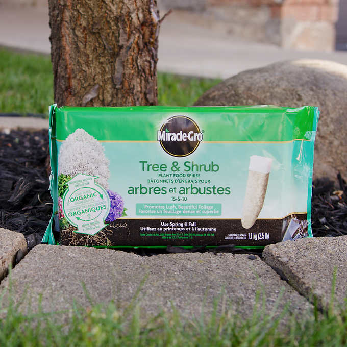Miracle-Gro Tree & Shrub Fertilizer Spikes 15-5-10, 4 packs of 10