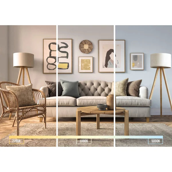 Luminus LED A19 Dimmable  Omni Bulb 60W 800 lumens 5000K, 12 pack