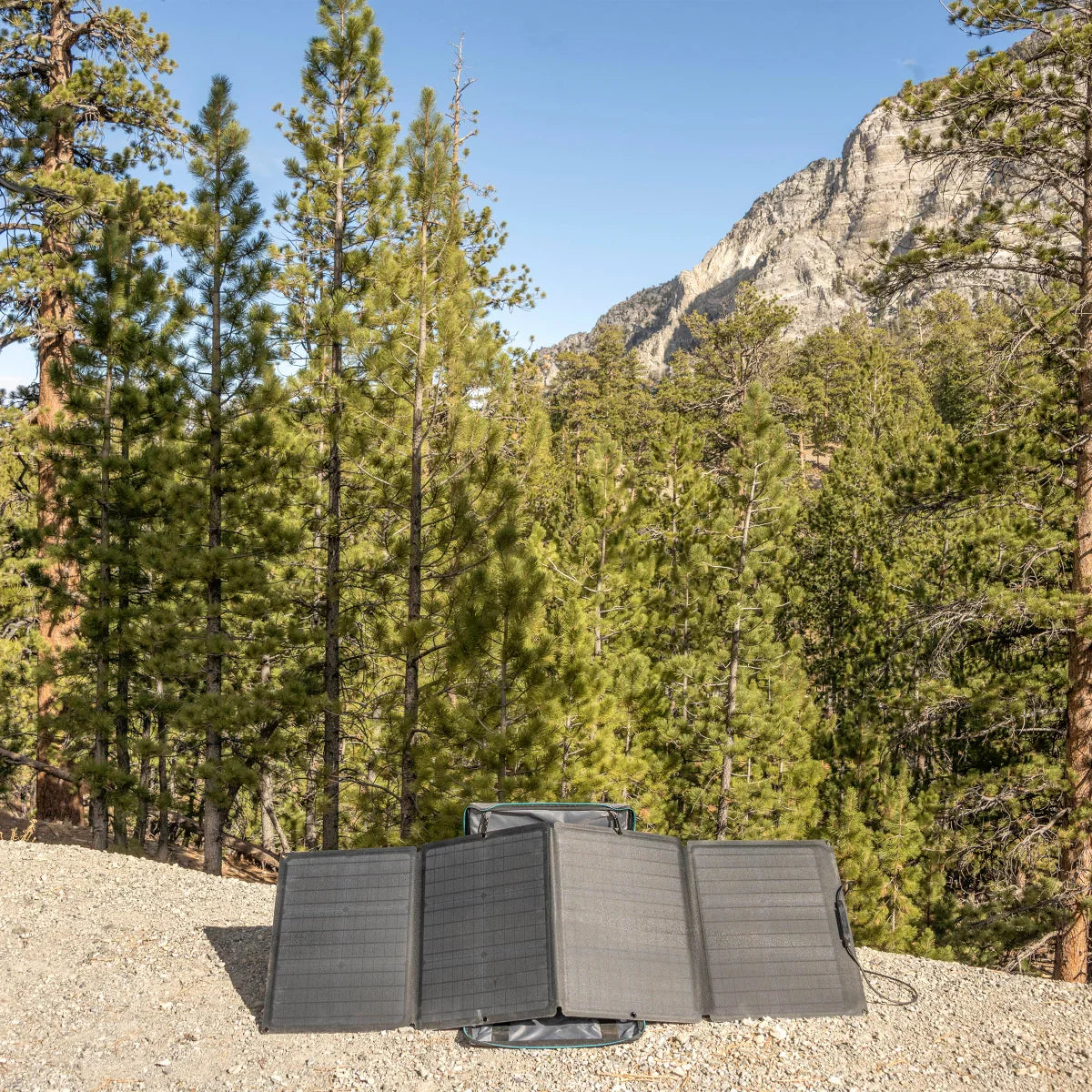 EcoFlow 110W Solar Panel