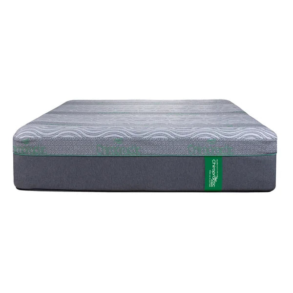 Springwall Chiropractic Green Hybrid 35.6 cm (14 in.) Queen RV Mattress