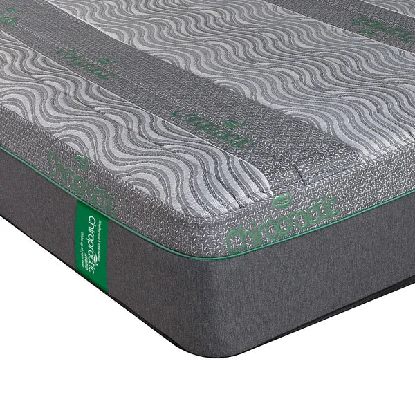 Springwall Chiropractic Green Hybrid 35.6 cm (14 in.) Queen RV Mattress