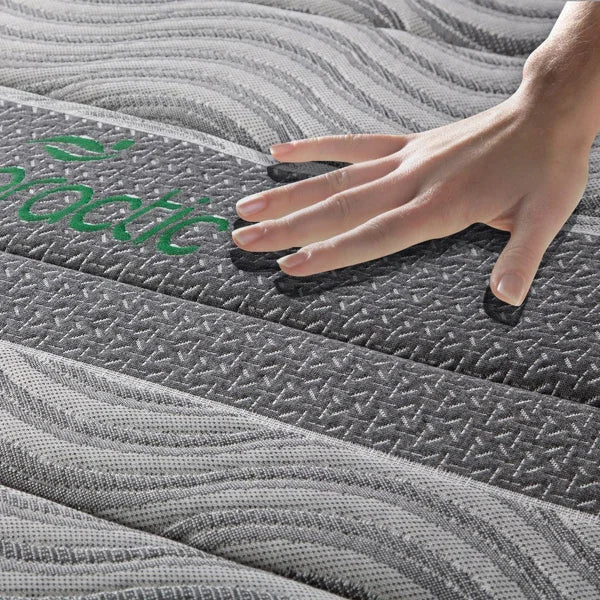 Springwall Chiropractic Green Hybrid 35.6 cm (14 in.) Queen RV Mattress