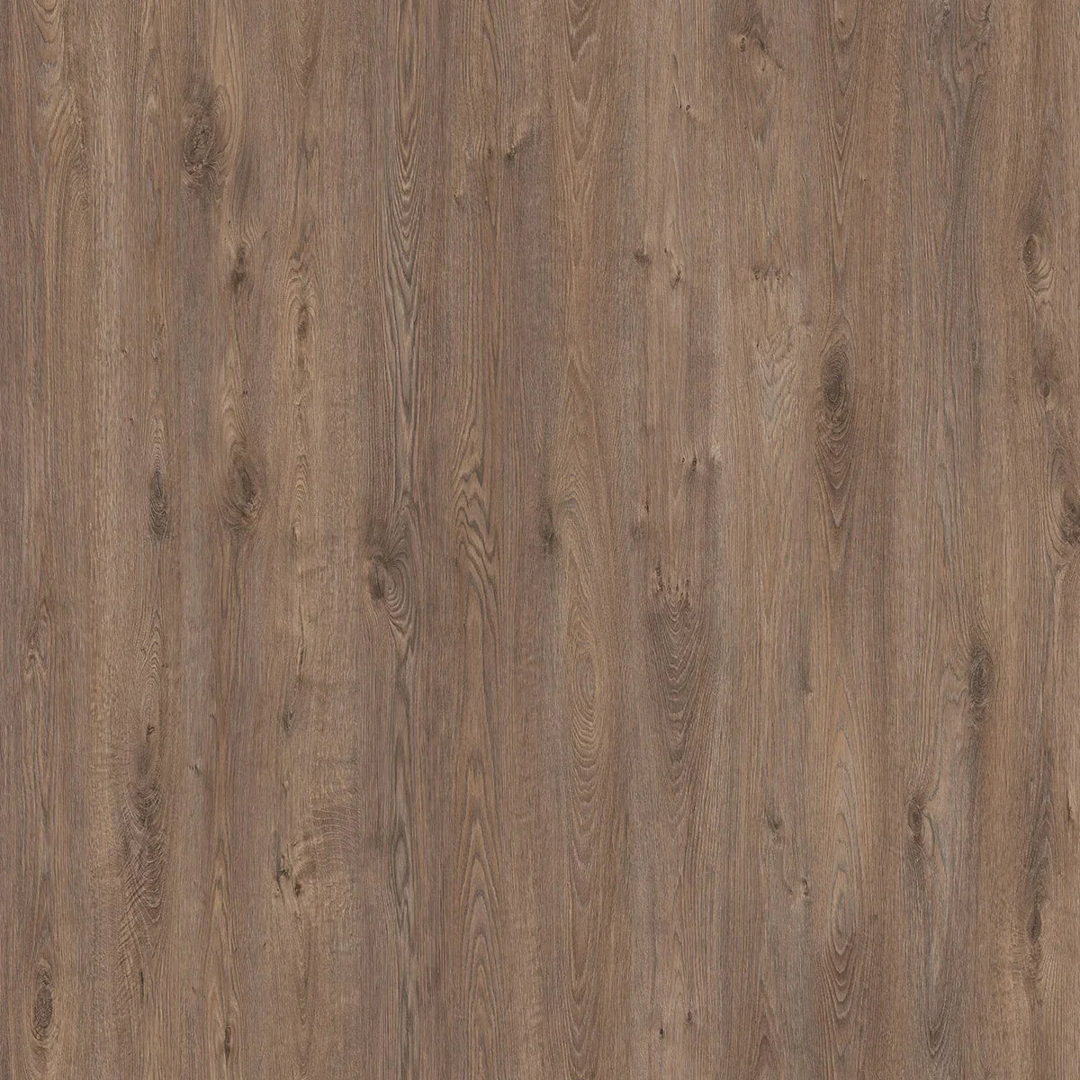 Mono Serra Seville 18.90 cm (7.4 in.) AC3 Laminate Floor