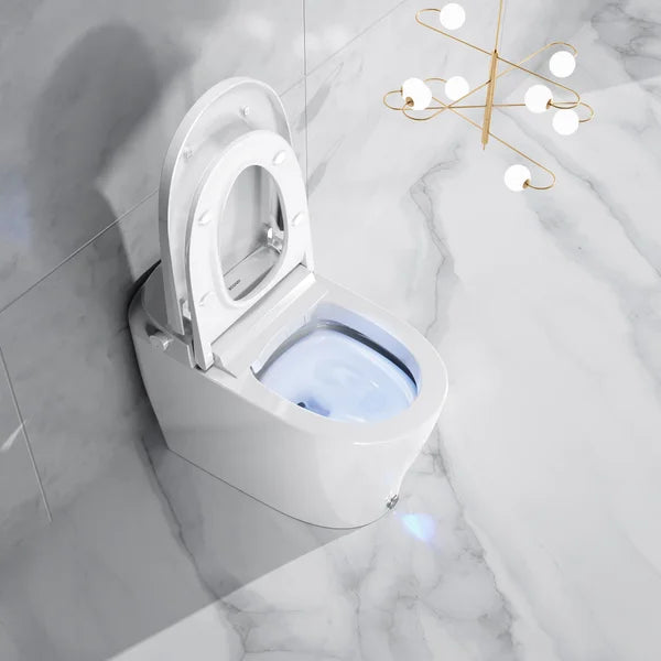 Ecoway Erie Integrated Smart Toilet With Built-in Bidet