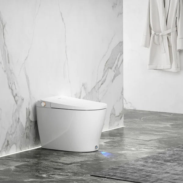 Ecoway Huron Integrated Smart Toilet With Built-in Bidet