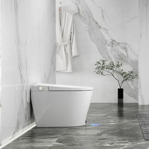 Ecoway Huron Integrated Smart Toilet With Built-in Bidet