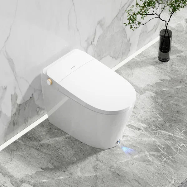 Ecoway Huron Integrated Smart Toilet With Built-in Bidet
