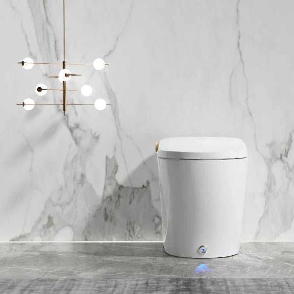 Ecoway Huron Integrated Smart Toilet With Built-in Bidet