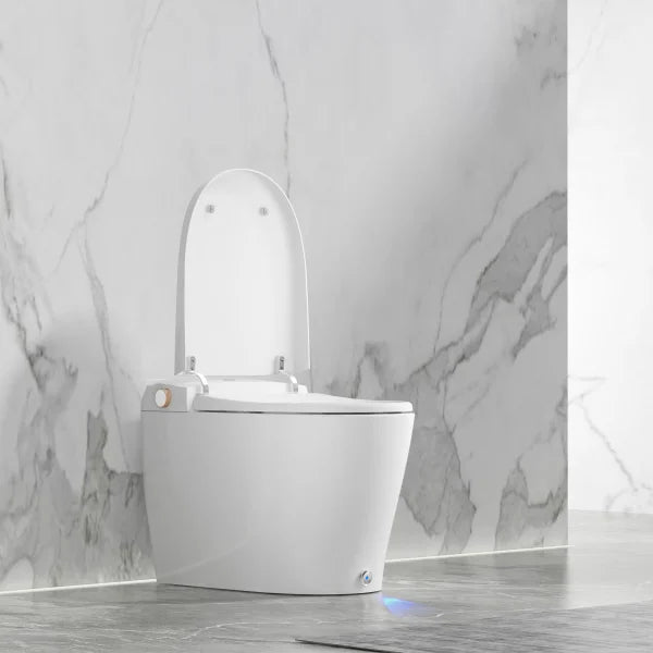 Ecoway Huron Integrated Smart Toilet With Built-in Bidet