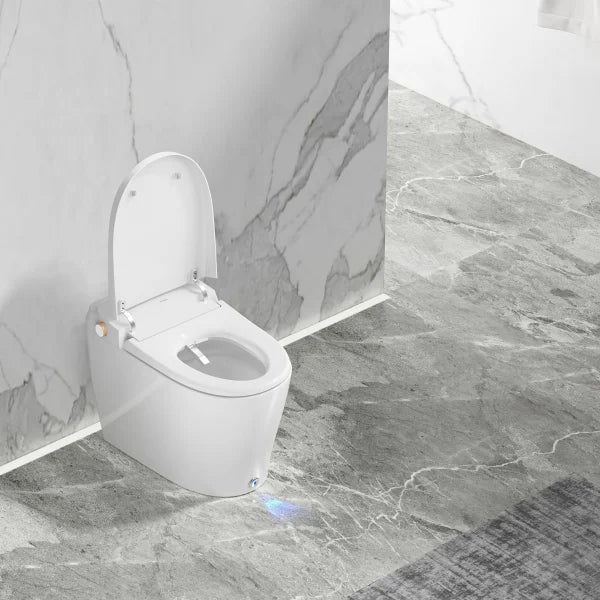 Ecoway Huron Integrated Smart Toilet With Built-in Bidet
