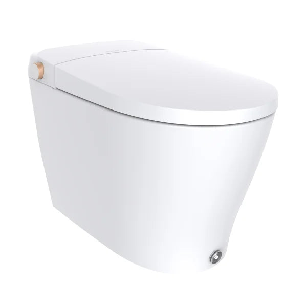 Ecoway Huron Integrated Smart Toilet With Built-in Bidet