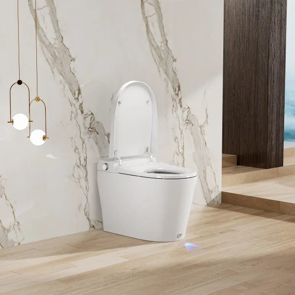 Ecoway Taheo Integrated Smart Toilet With Built-in Bidet