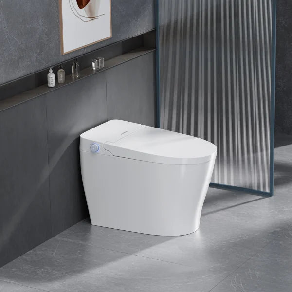 Ecoway Mono Integrated Smart Toilet With Built-in Bidet
