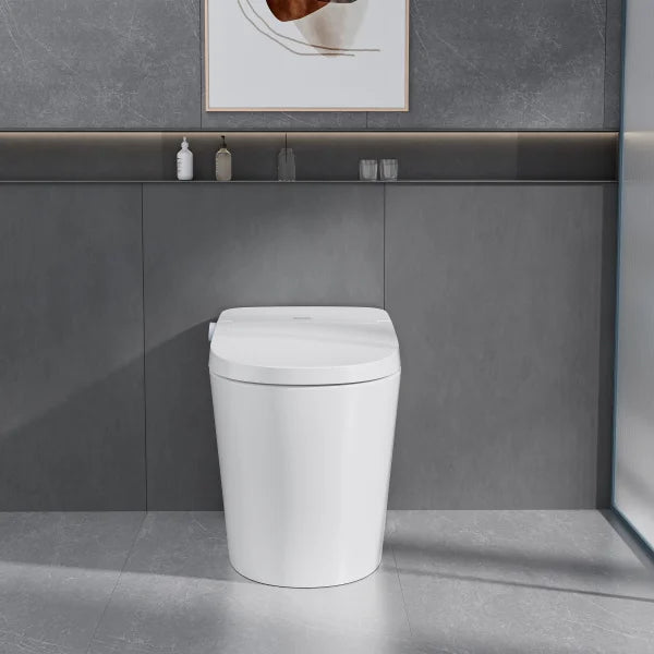 Ecoway Mono Integrated Smart Toilet With Built-in Bidet