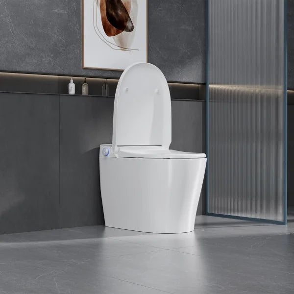 Ecoway Mono Integrated Smart Toilet With Built-in Bidet