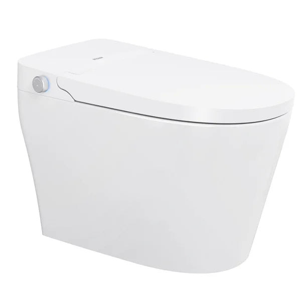 Ecoway Mono Integrated Smart Toilet With Built-in Bidet