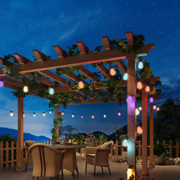 Govee 48 ft. (14.63 m) Lynx Dream LED String Lights