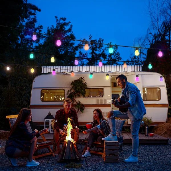 Govee 48 ft. (14.63 m) Lynx Dream LED String Lights