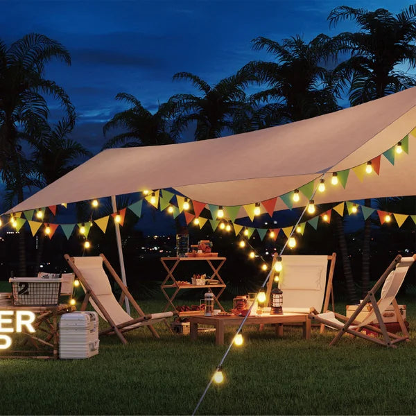 Govee 48 ft. (14.63 m) Lynx Dream LED String Lights