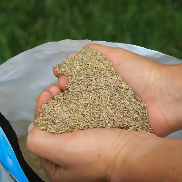 Scotts Supreme Grass Seed 3.8 kg 2-pack