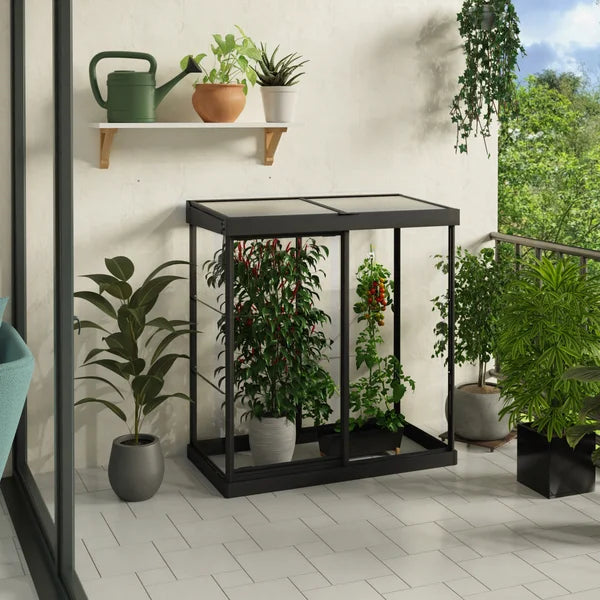Canopia by Palram Ivy 4 ft. x 2 ft. Mini Greenhouse Kit