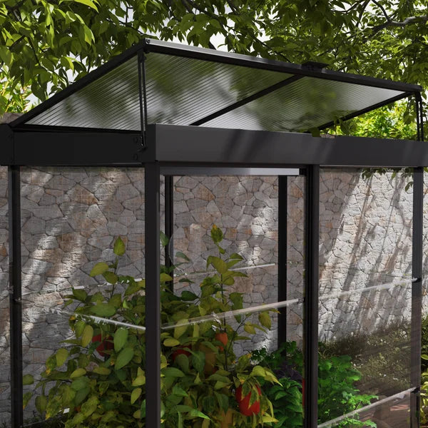 Canopia by Palram Ivy 4 ft. x 2 ft. Mini Greenhouse Kit