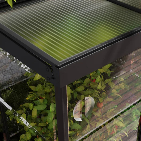 Canopia by Palram Ivy 4 ft. x 2 ft. Mini Greenhouse Kit