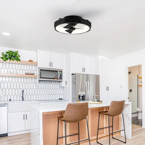 Parrot Uncle 19 in. Matte Black Industrial Ceiling Fan