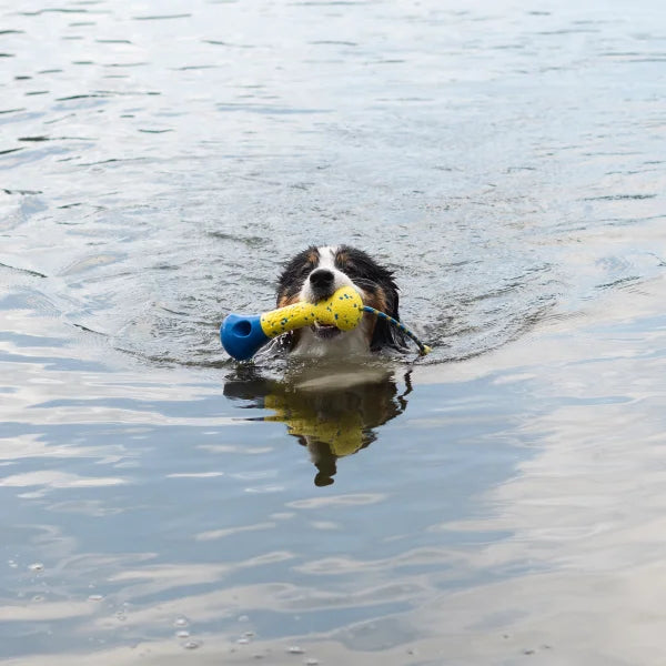 Zeus Nitro Dog Toy Bundle, 2-pack