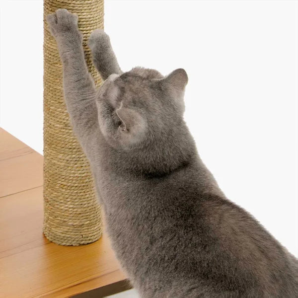 Catit Vesper High Base XL