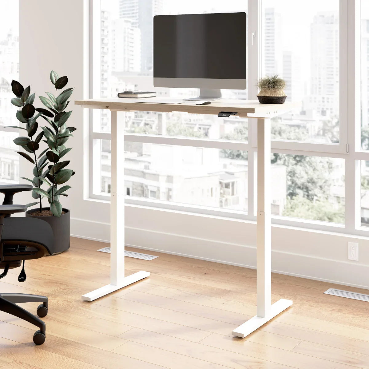 Office Pro Amplify 120.9 cm x 59.9 cm (47.6 in. x 23.6 in.) Height Adjustable Desk