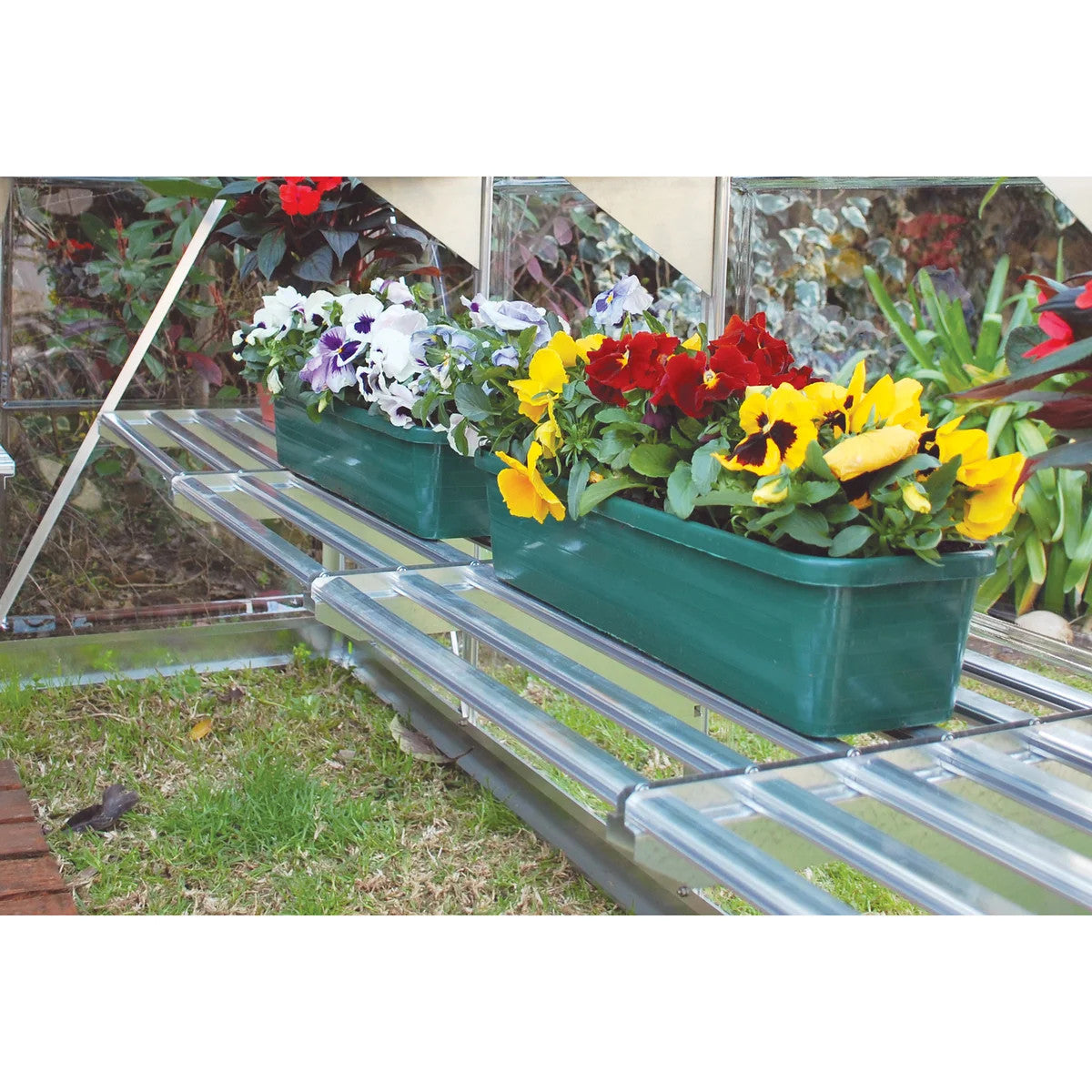 Canopia by Palram Heavy Duty Greenhouse Shelf Kit