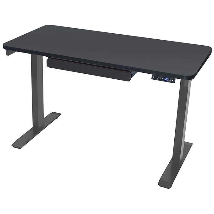 Motionwise 121.9 cm × 61 cm (48 in. × 24 in.) Height Adjustable Standing Desk