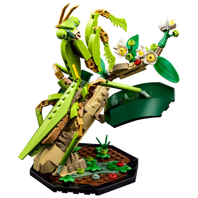 LEGO Ideas The Insect Collection