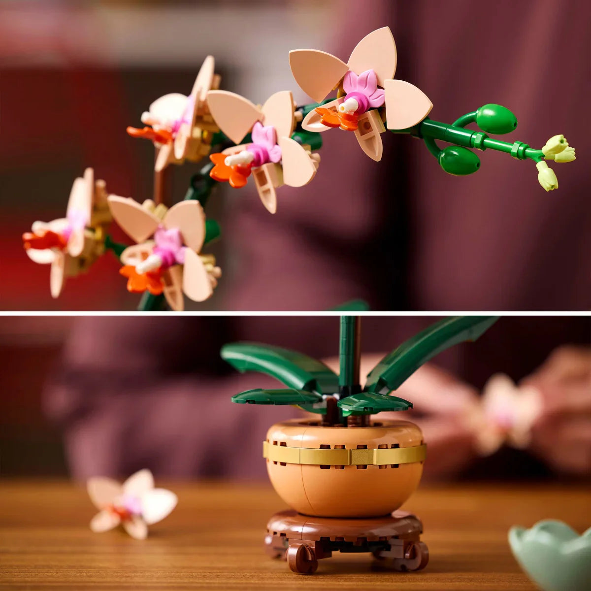LEGO Botanicals Mini Orchid Building Set for Adults