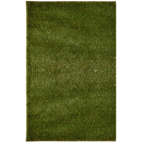 Deluxe Artificial Turf Indoor/Outdoor Mat