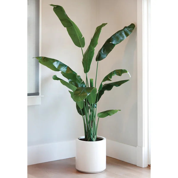 Faux Banana Leaf Tree 2 m (6.5 ft.)