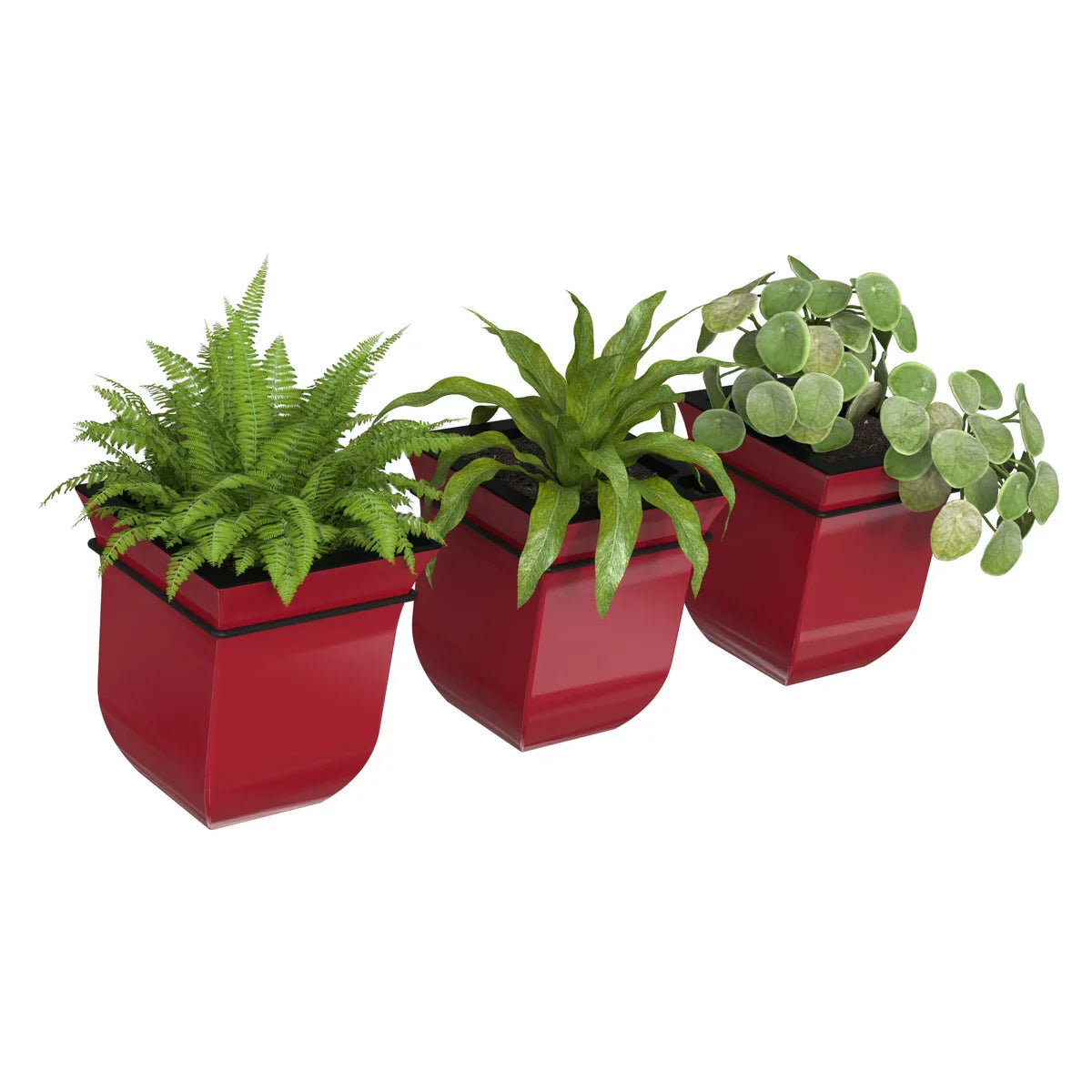 Valencia 8in Wall Mount Planter - 3-pack