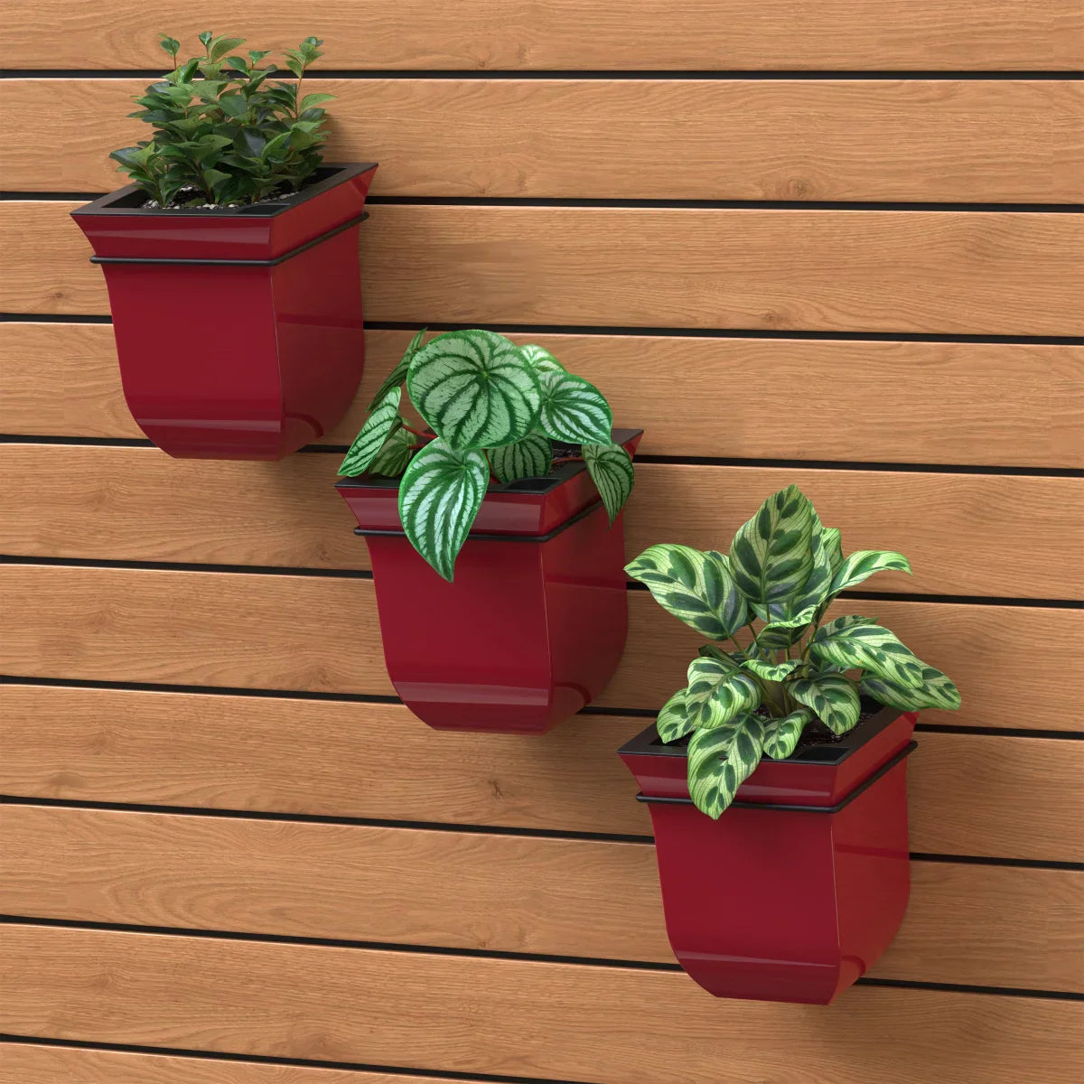Valencia 8in Wall Mount Planter - 3-pack