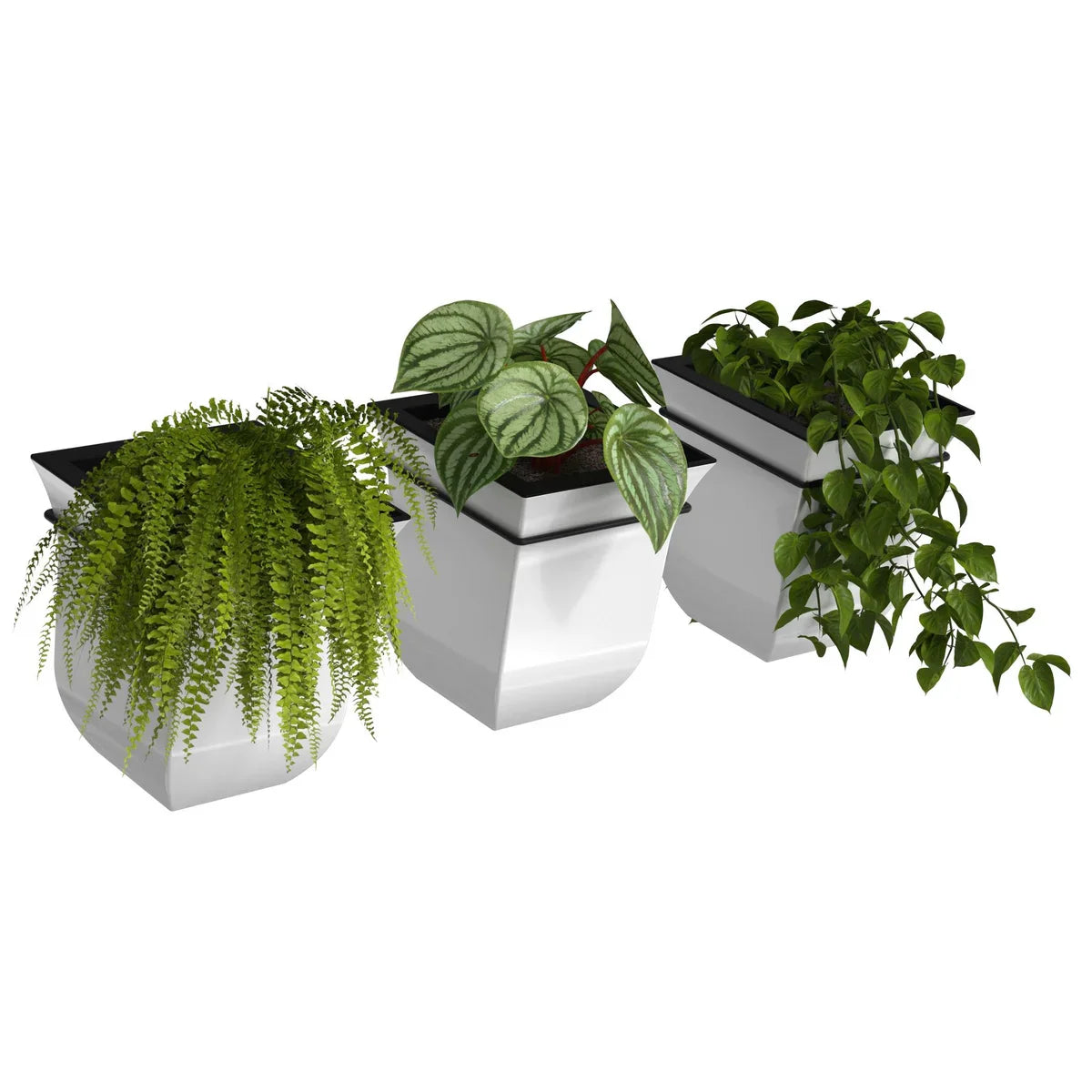 Valencia 8in Wall Mount Planter - 3-pack