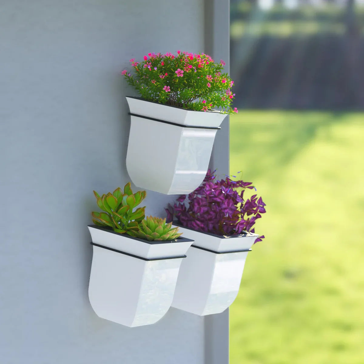 Valencia 8in Wall Mount Planter - 3-pack