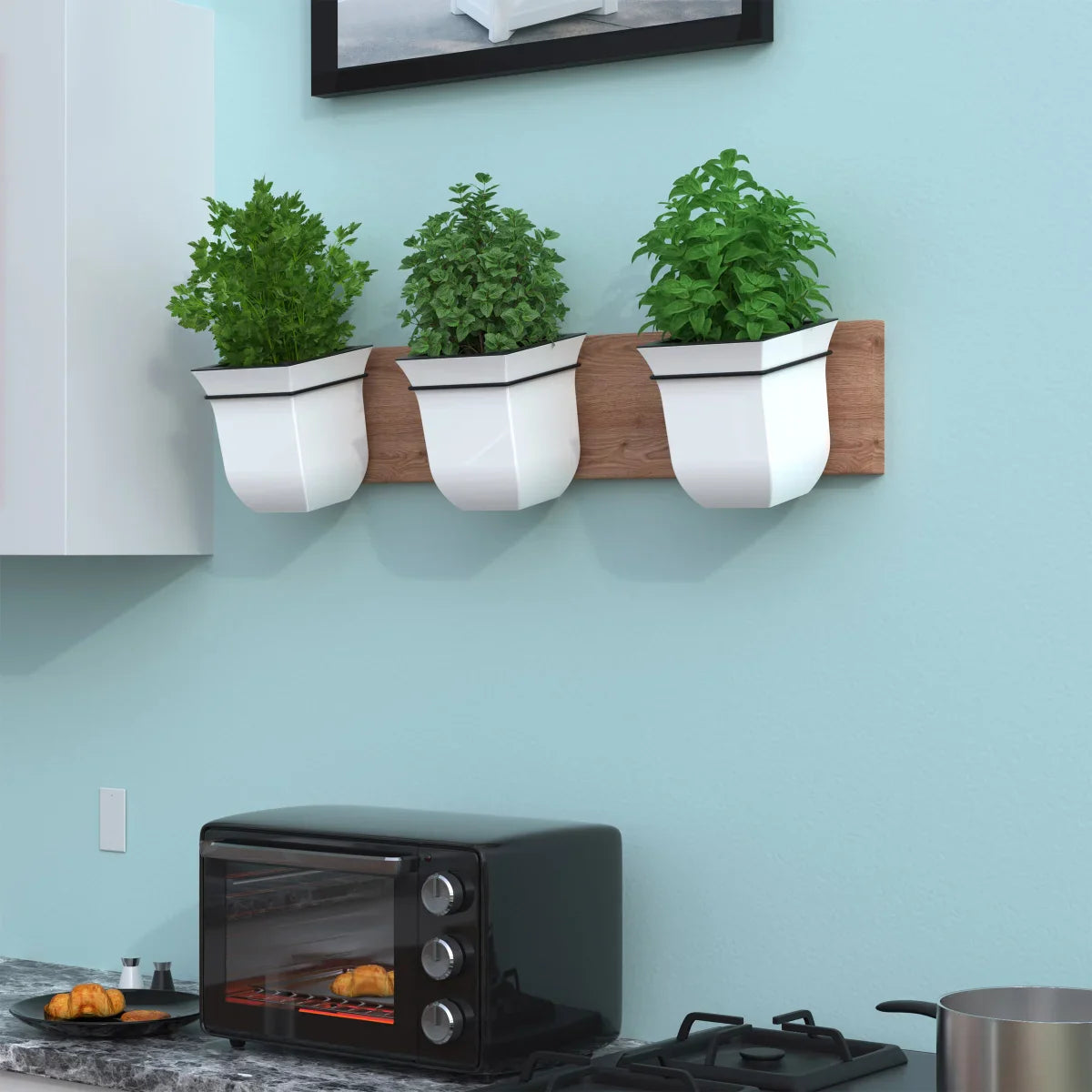 Valencia 8in Wall Mount Planter - 3-pack