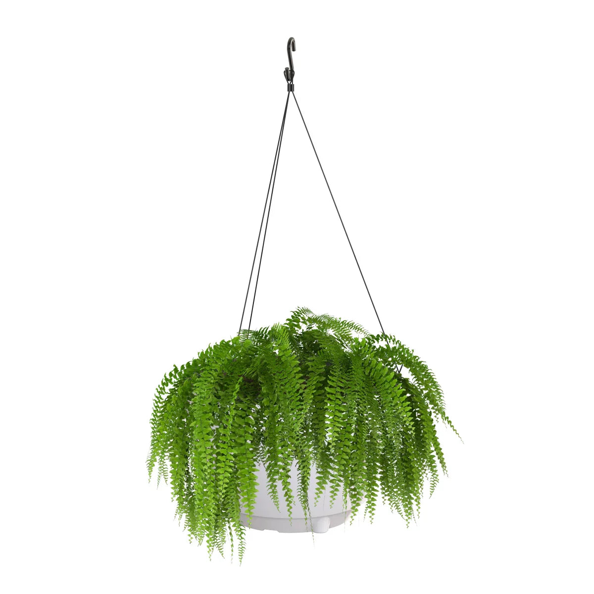 Caprio 14 in. Hanging Planter
