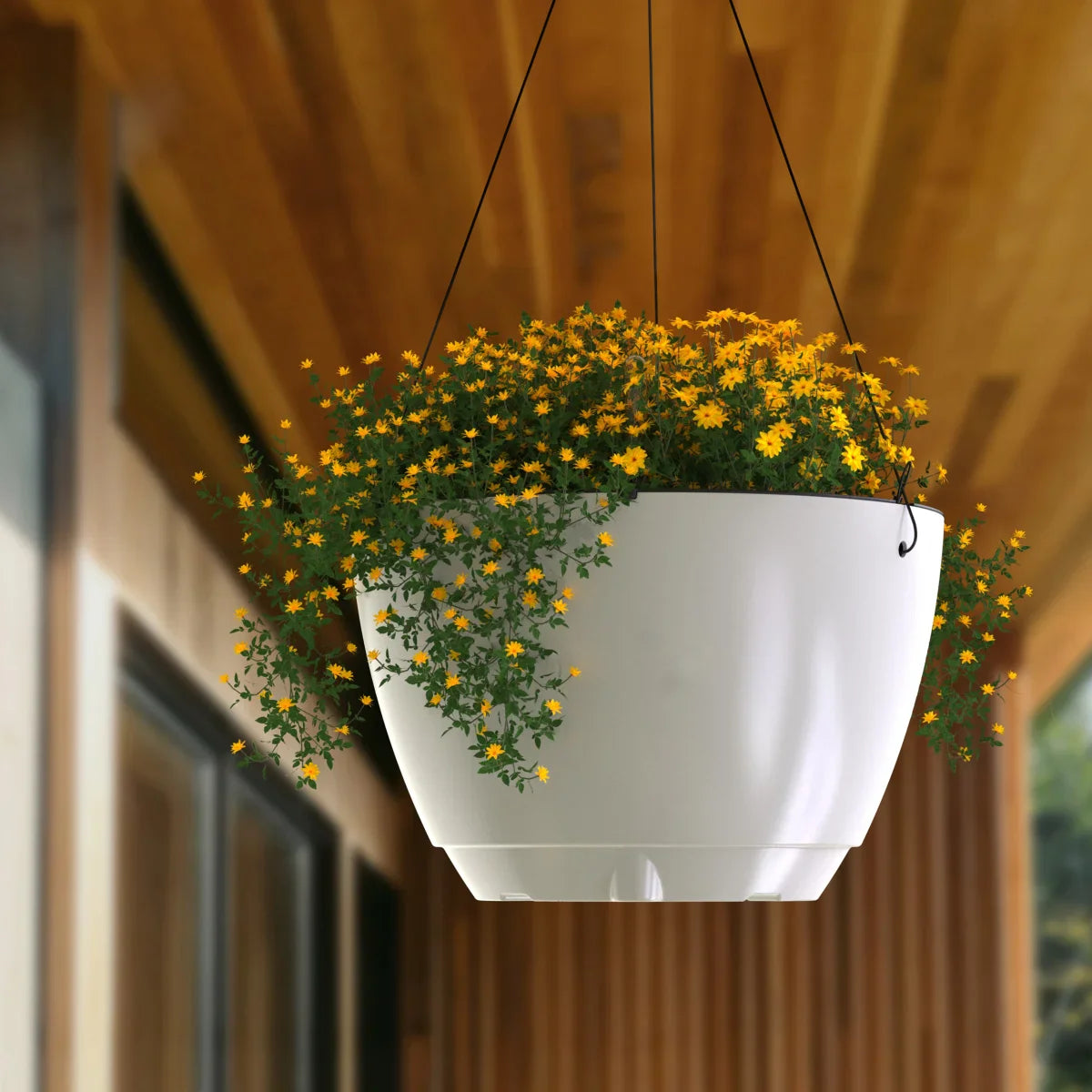 Caprio 14 in. Hanging Planter
